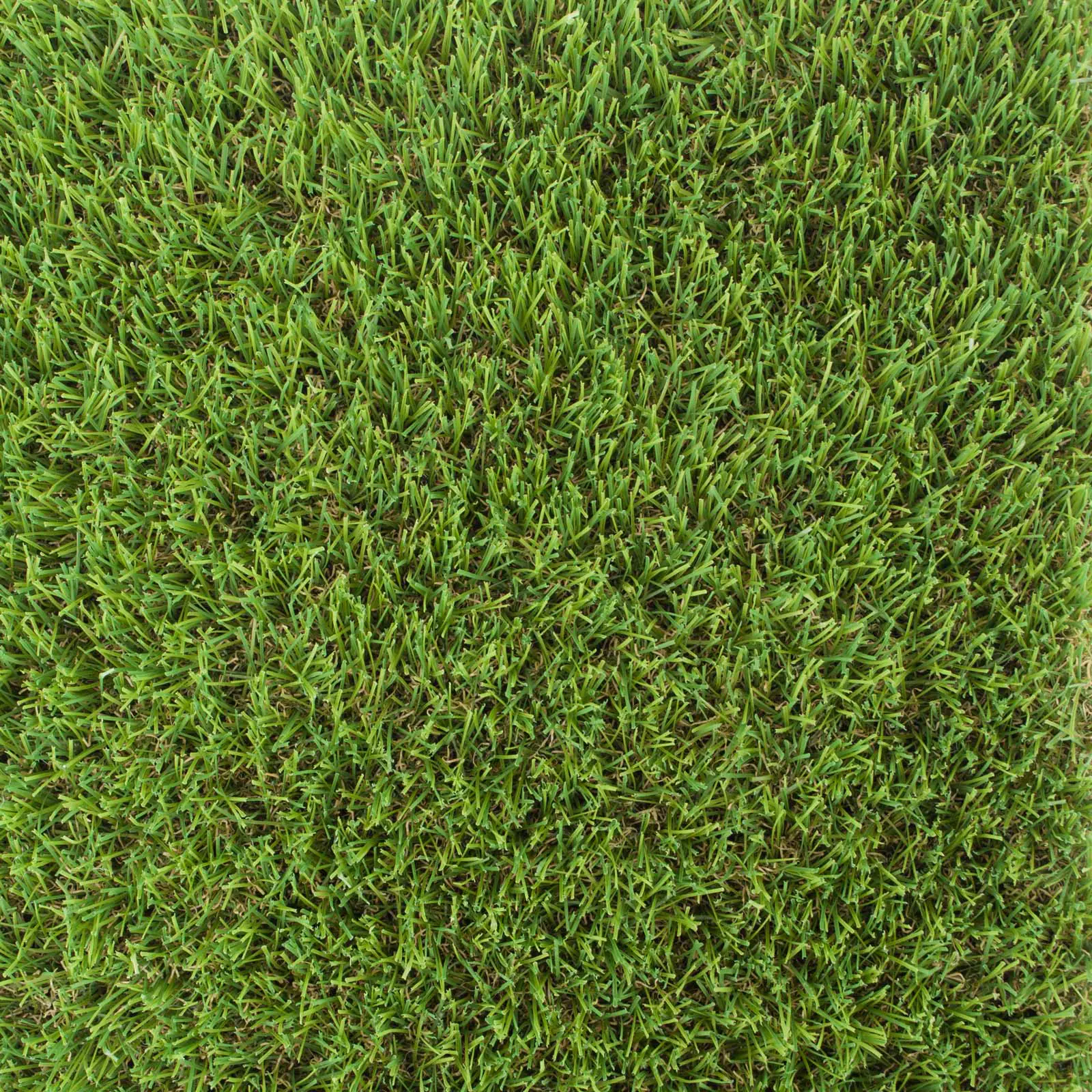 Rocky Artificial Grass