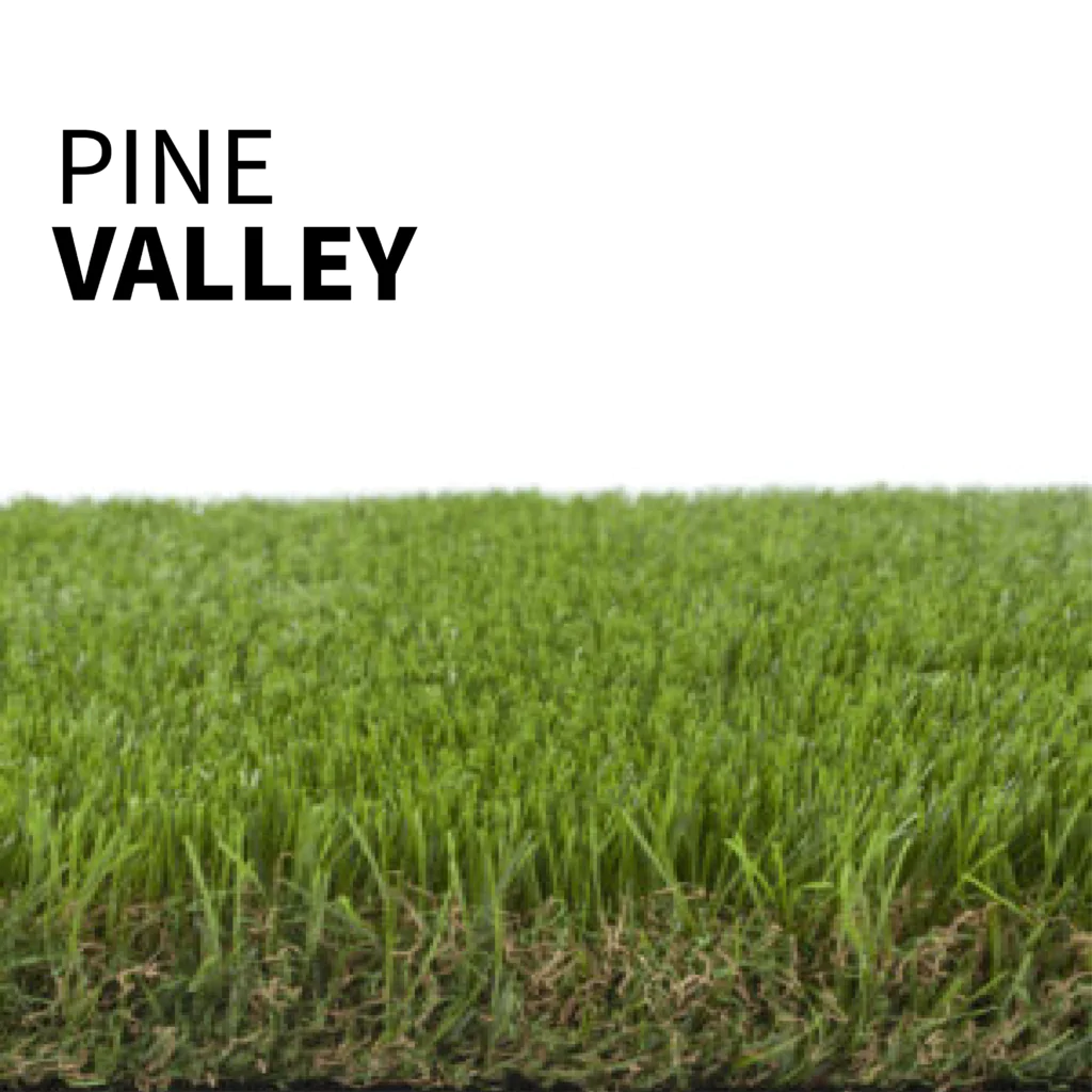 Pine Valley Grass