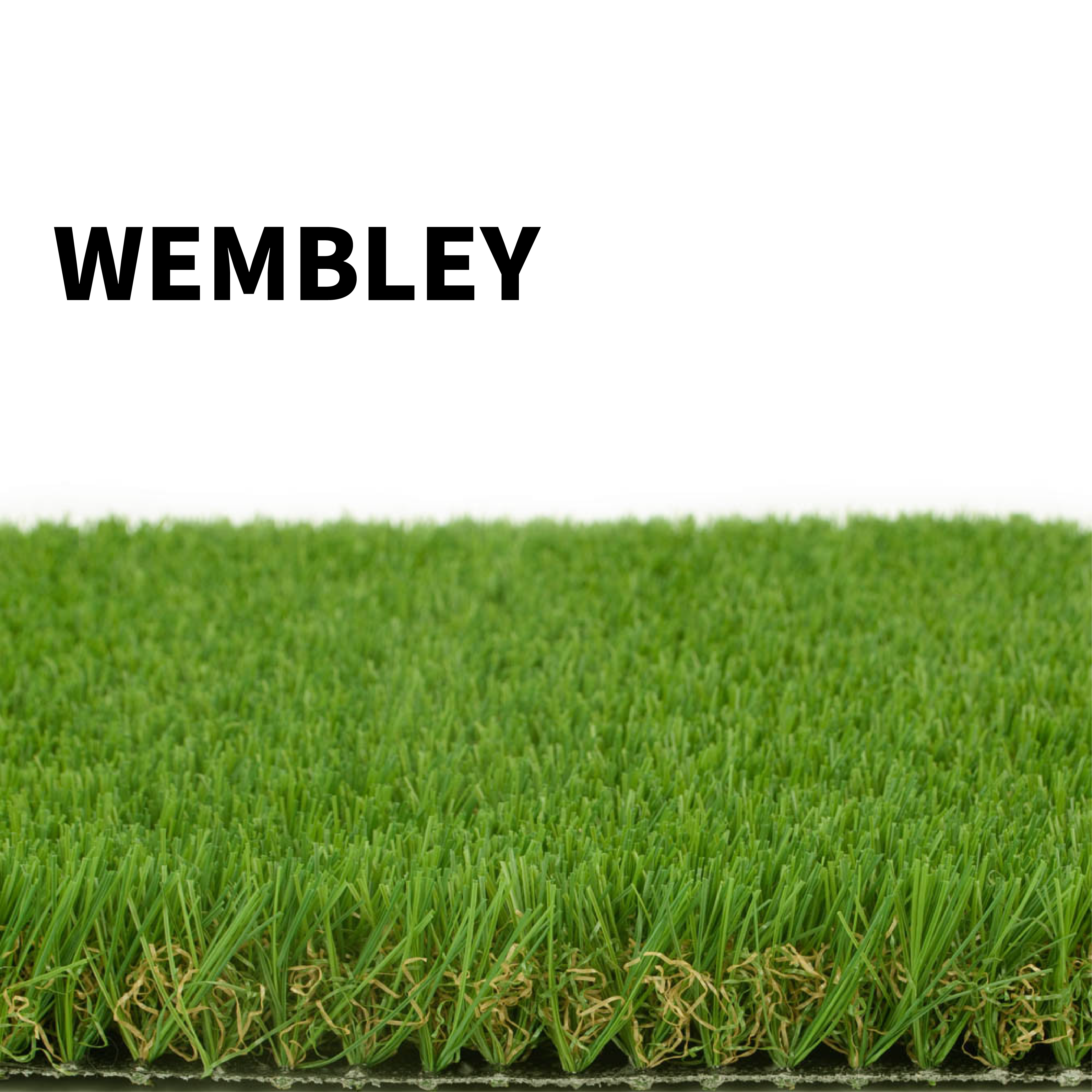 Wembley Grass