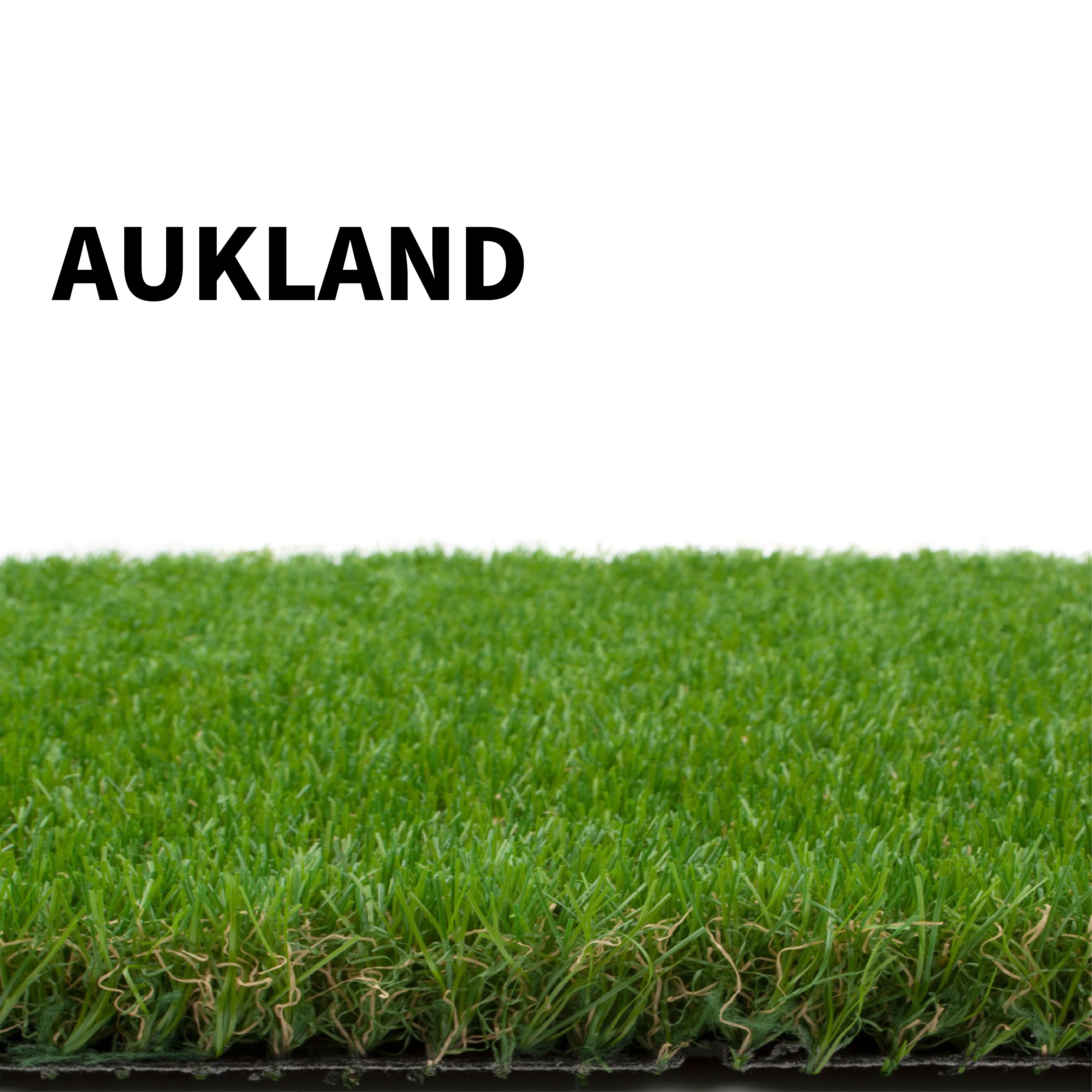 Aukland Grass